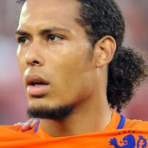 تصویر هنرمند Virgil van Dijk