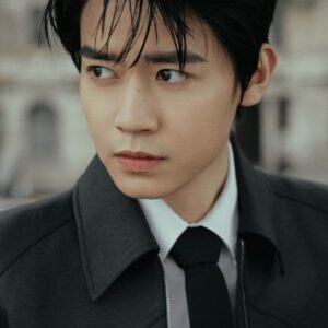 تصویر هنرمند Zeng Kelang