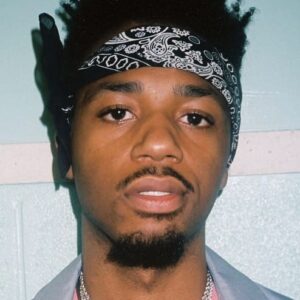 تصویر هنرمند Metro Boomin