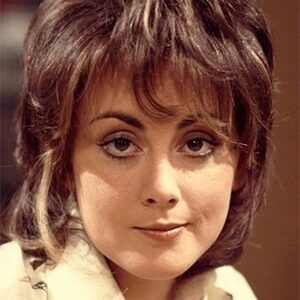 تصویر هنرمند Paula Wilcox