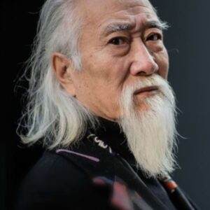 تصویر هنرمند Hou Tongjiang تصویر هنرمند Hou Tongjiang