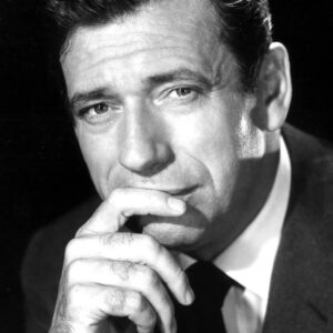 تصویر هنرمند Yves Montand