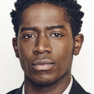 تصویر هنرمند Damson Idris تصویر هنرمند Damson Idris