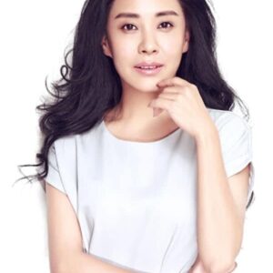 تصویر هنرمند Li Xiaohong