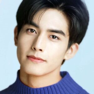 تصویر هنرمند Song Weilong