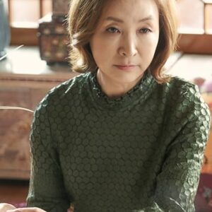 تصویر هنرمند Jung Ae-ri