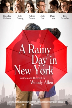  A Rainy Day in New York 2019