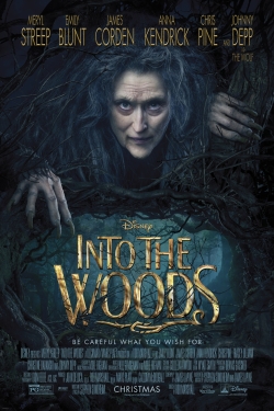  Into the Woods 2014
