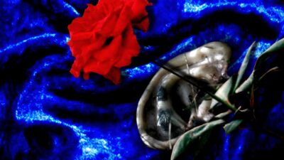 Teaser for Blue Velvet
