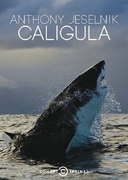 پوستر رسمی فیلم Anthony Jeselnik: Caligula (2013)