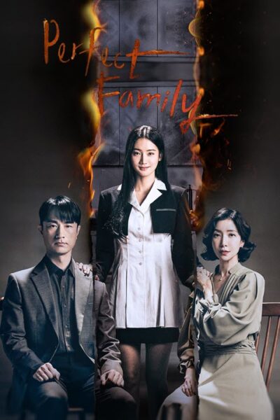پوستر رسمی سریال Perfect Family (2024)