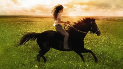 Teaser for Flicka