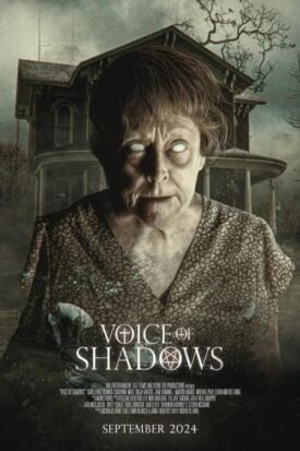پوستر رسمی فیلم Voice of Shadows (2024)