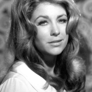 تصویر هنرمند Michele Carey