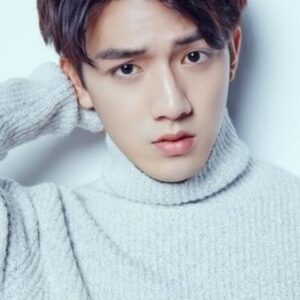 تصویر هنرمند Liu Yaoyuan