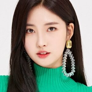 تصویر هنرمند Kim Si-hyeon تصویر هنرمند Kim Si-hyeon