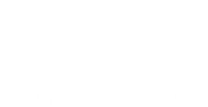 لوگوی رسمی فیلم Thammudu (2025)
