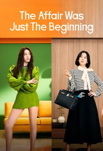 پوستر رسمی سریال The Affair Was Just the Beginning (2026)