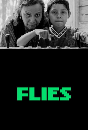 پوستر رسمی فیلم Flies (2026)